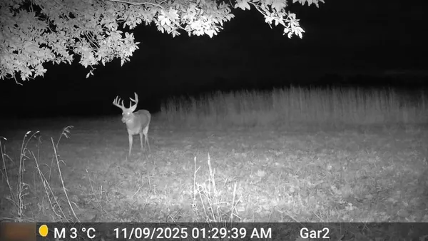 $3,500,000 | 426 C Highway, Spickard, MO 64679