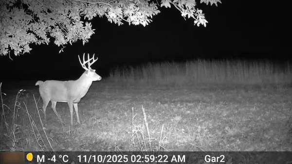 $3,500,000 | 426 C Highway, Spickard, MO 64679