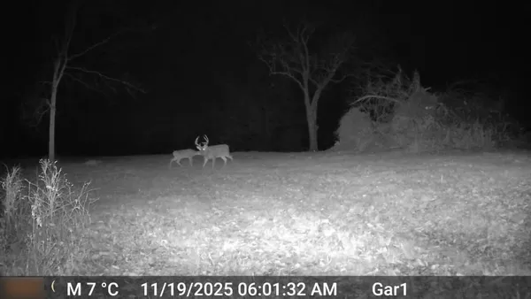 $3,500,000 | 426 C Highway, Spickard, MO 64679