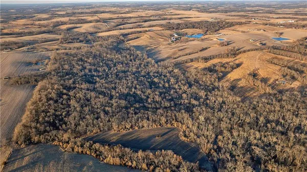 $3,500,000 | 426 C Highway, Spickard, MO 64679