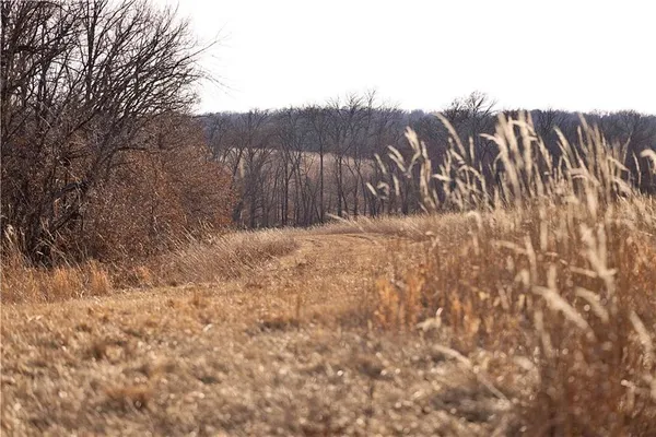 $3,500,000 | 426 C Highway, Spickard, MO 64679