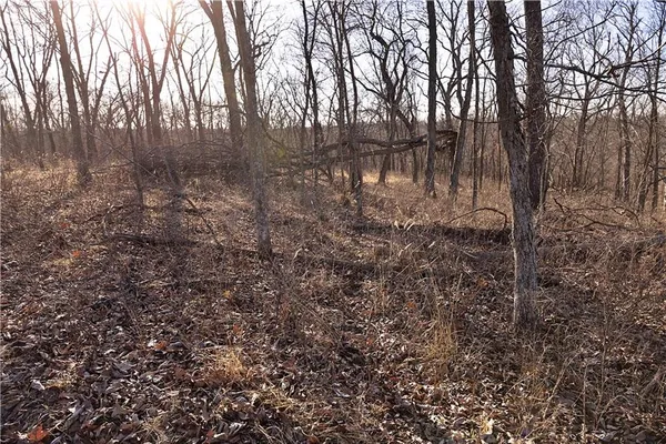 $3,500,000 | 426 C Highway, Spickard, MO 64679