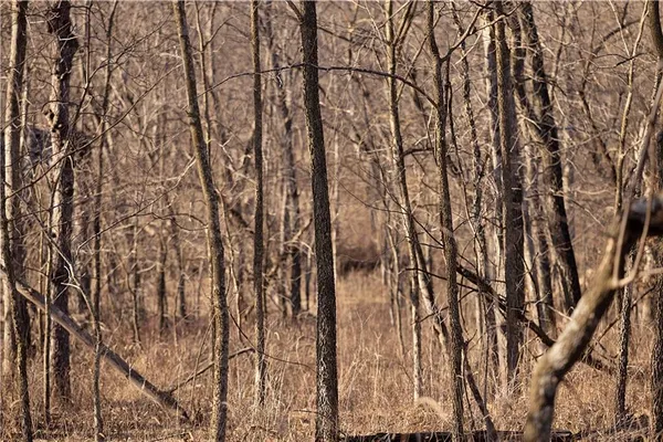 $3,500,000 | 426 C Highway, Spickard, MO 64679