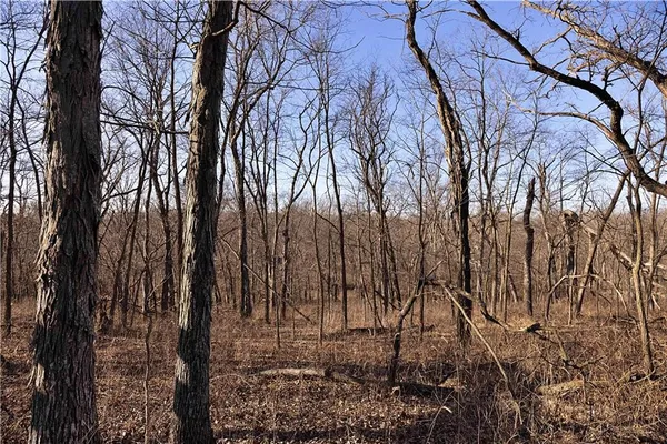 $3,500,000 | 426 C Highway, Spickard, MO 64679