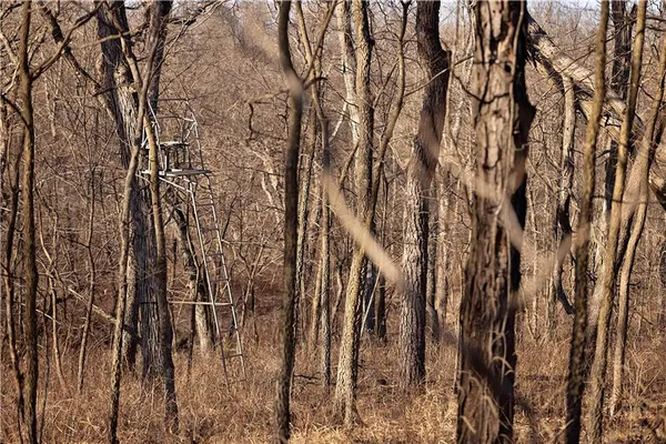 $3,500,000 | 426 C Highway, Spickard, MO 64679