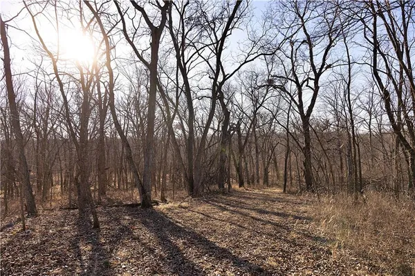 $3,500,000 | 426 C Highway, Spickard, MO 64679