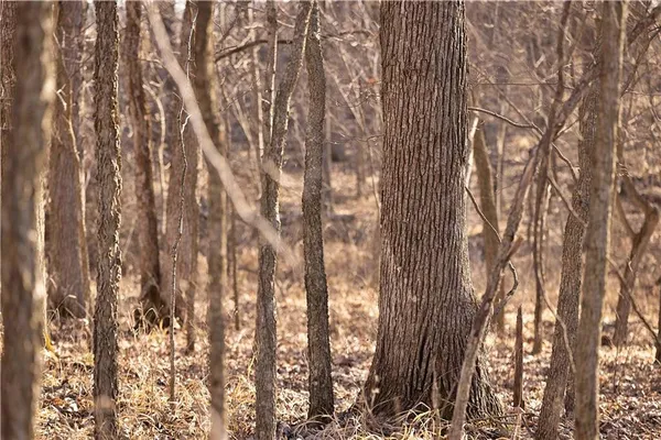 $3,500,000 | 426 C Highway, Spickard, MO 64679