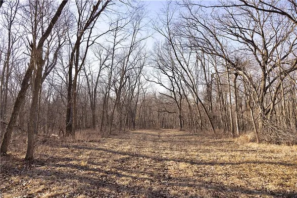 $3,500,000 | 426 C Highway, Spickard, MO 64679