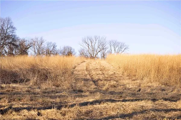 $3,500,000 | 426 C Highway, Spickard, MO 64679