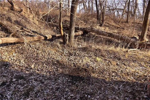 $3,500,000 | 426 C Highway, Spickard, MO 64679