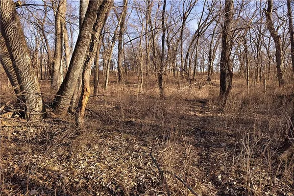 $3,500,000 | 426 C Highway, Spickard, MO 64679