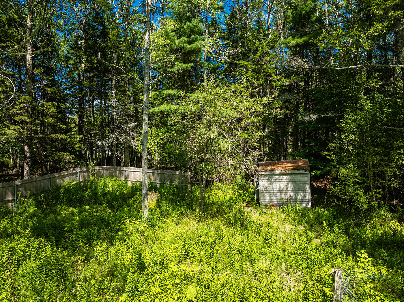 39 Turkey Cove Road Tenants Harbor, ME 04860 - Photo 56 of 77 DJI_0956