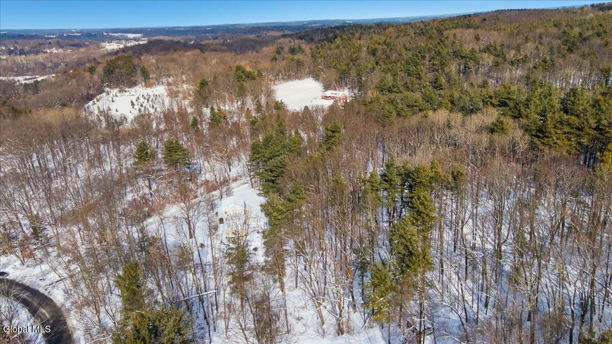 698 Fischer Road Kinderhook, NY 12106 - Photo 49 of 51 06-DJI_0420