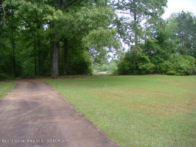 728 Country Club Road Jasper, AL 35503 - Photo 5 of 18 Gallery Image 5