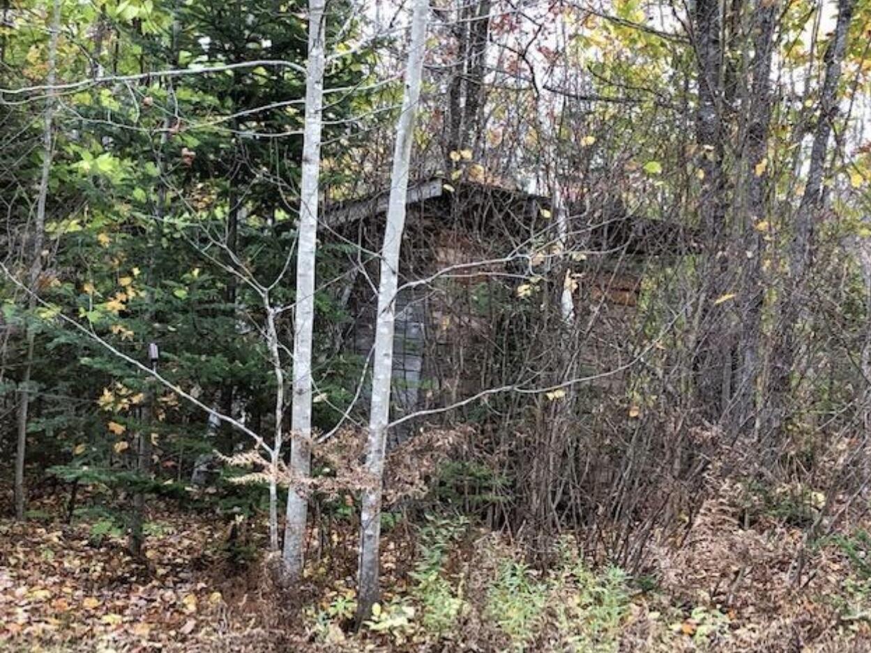 381 John Dean Road Milo, ME 04463 - Photo 4 of 39 image1 (7)