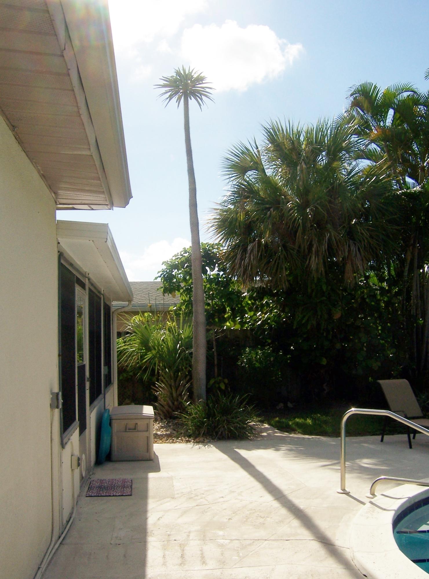2664 Exuma Road West Palm Beach, FL 33406 - Photo 15 of 33 large palm