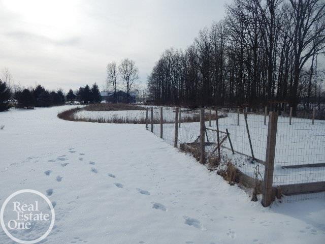 8250 Hough Road Almont, MI 48003 - Photo 40 of 43 50004003-39.JPG