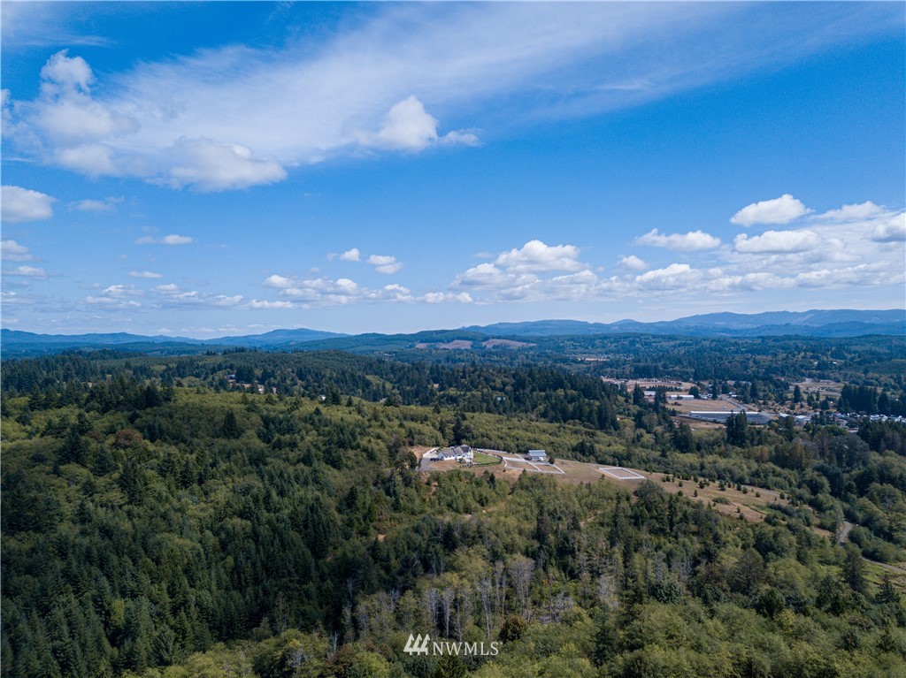 7 Timber Lane Elma, WA 98541 - Photo 3 of 39 Gallery Image 3