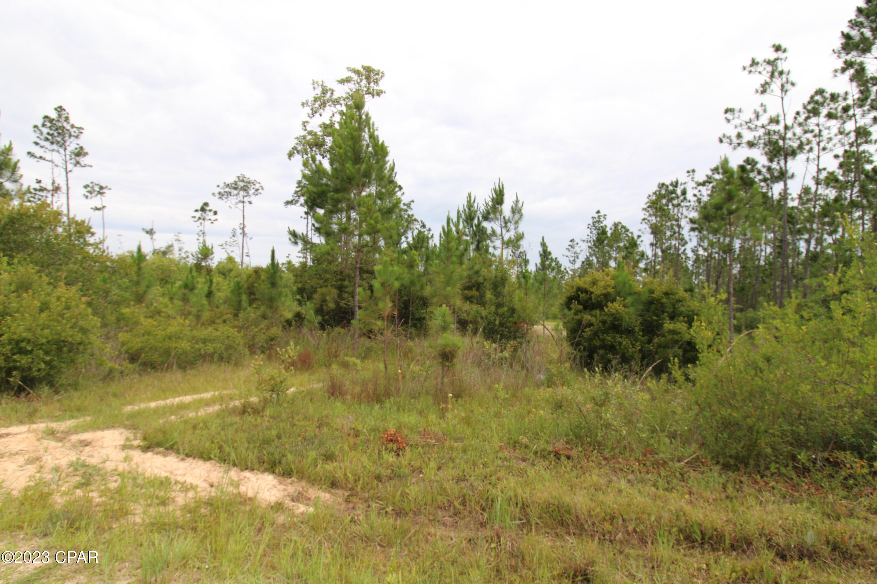 7131 Troy Road Youngstown, FL 32466 - Photo 7 of 8 Gallery Image 7