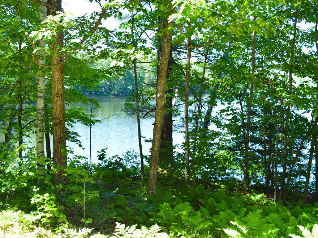 54 Pond Road Mount Vernon, ME 04352 - Photo 6 of 20 DSC_0121
