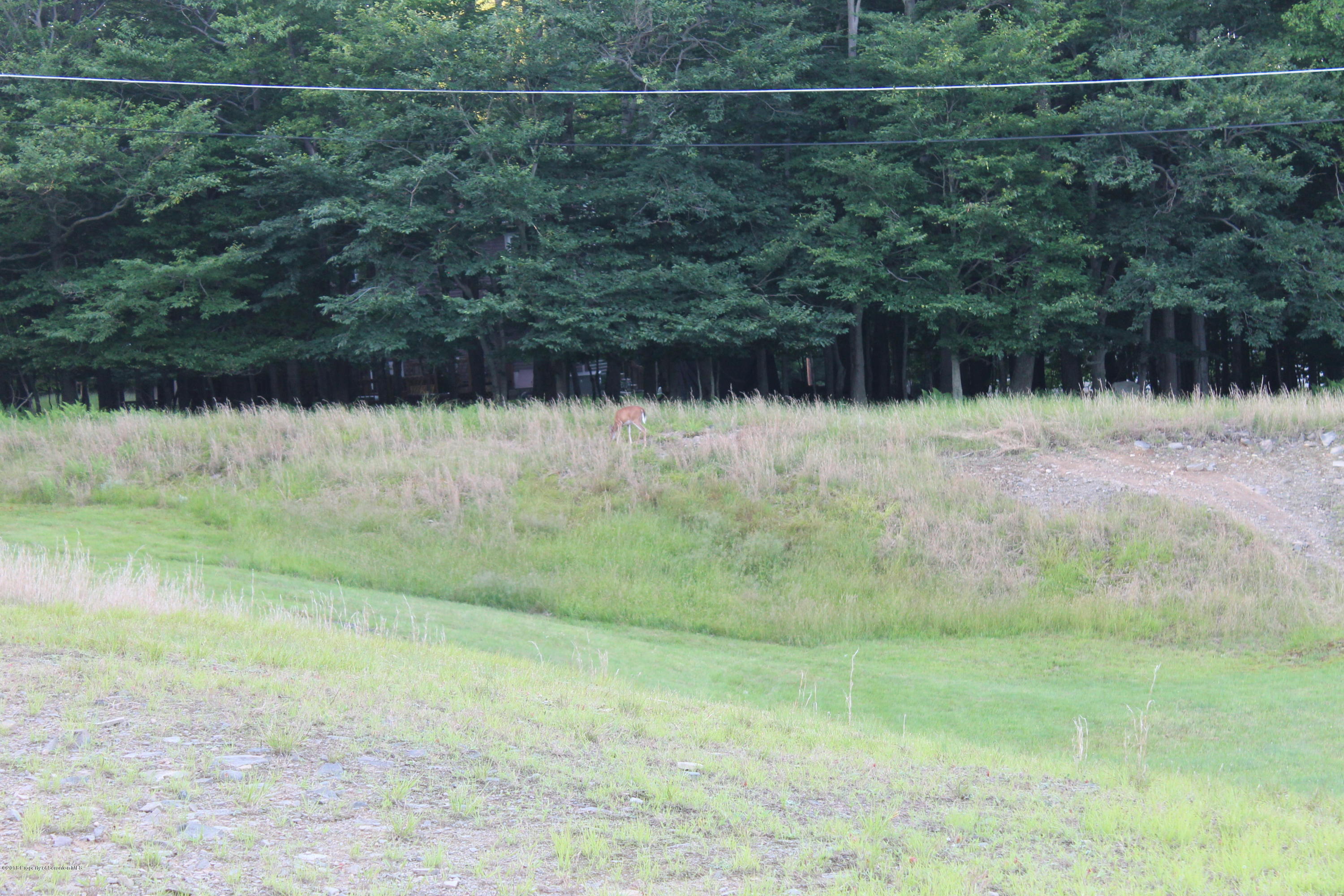 1084 Woodstock Road Newfoundland, PA 18445 - Photo 26 of 28 Gallery Image 26
