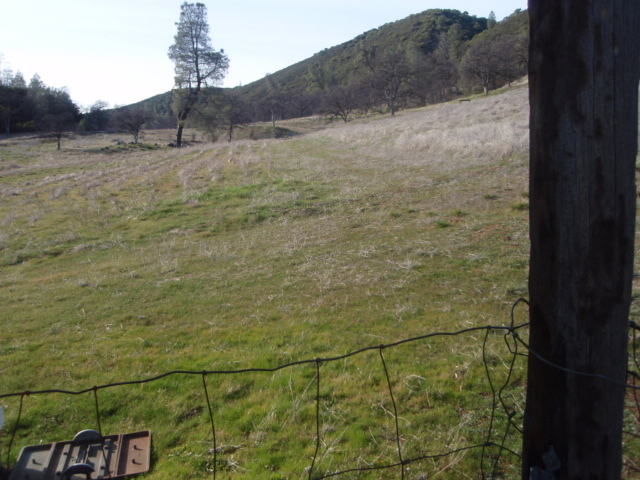 8768 Big Foot Road Igo, CA 96047 - Photo 25 of 41 a view of a dry yard