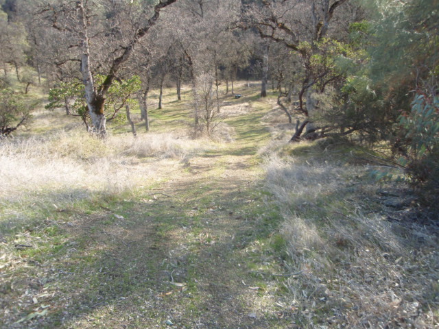 8768 Big Foot Road Igo, CA 96047 - Photo 3 of 41 a view of yard with trees