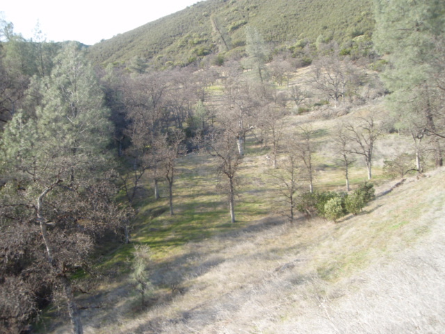 8768 Big Foot Road Igo, CA 96047 - Photo 4 of 41 a view of outdoor space and tree