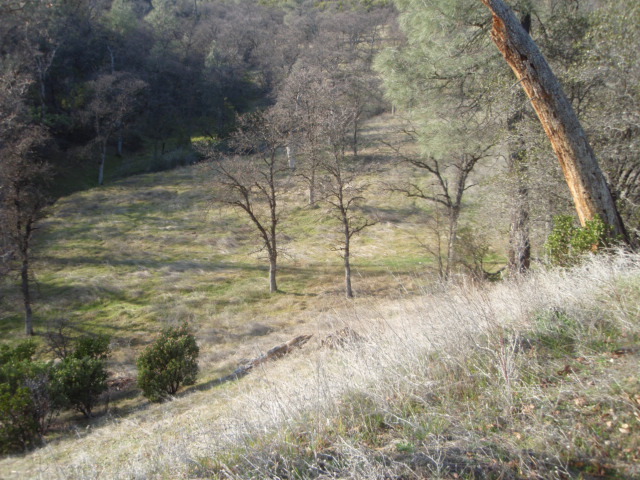 8768 Big Foot Road Igo, CA 96047 - Photo 6 of 41 a view of small yard