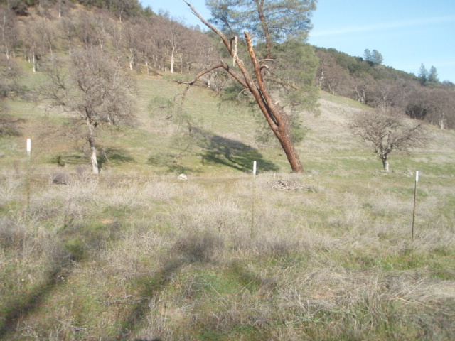 8768 Big Foot Road Igo, CA 96047 - Photo 8 of 41 a view of a yard