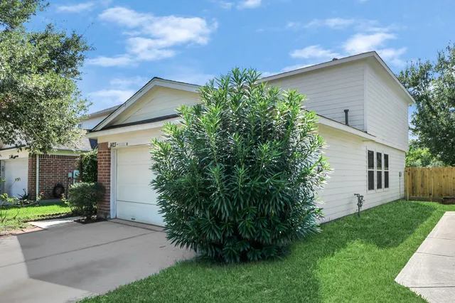 a backyard of a house with plants and trees