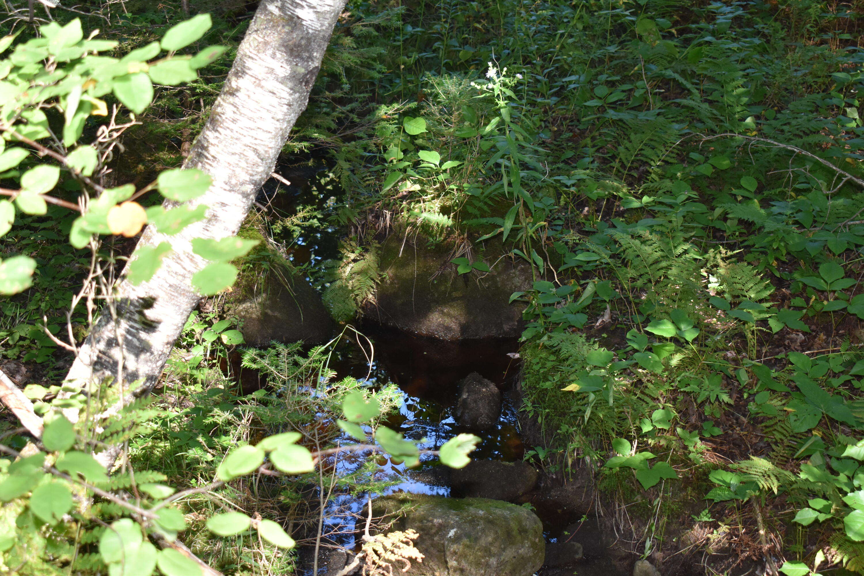 2 Edinburg Road Howland, ME 04448 - Photo 2 of 16 DSC_0233