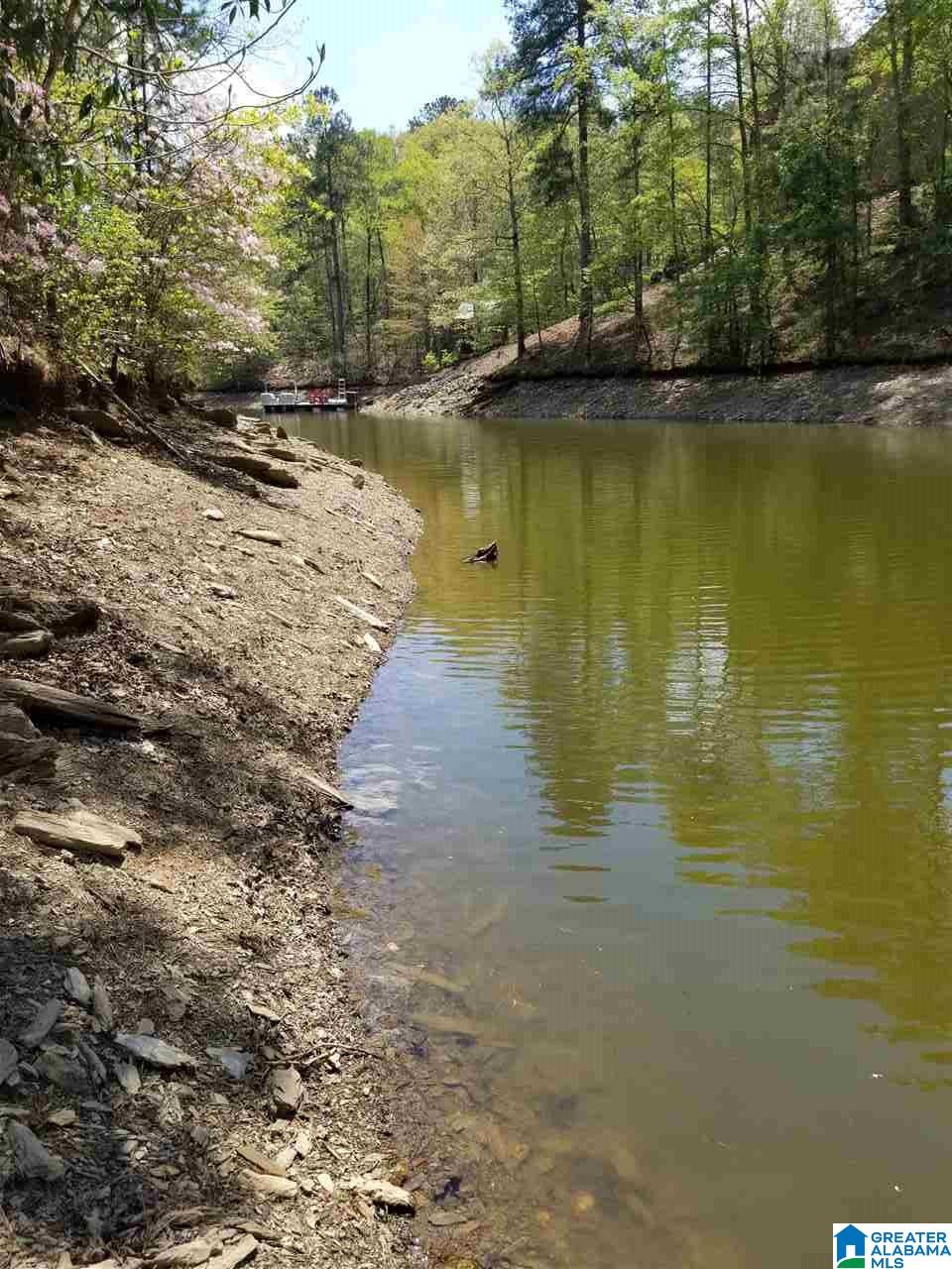 Lot 106 River Birch Road, Unit LOT 106 Wedowee, AL 36278 - Photo 10 of 14