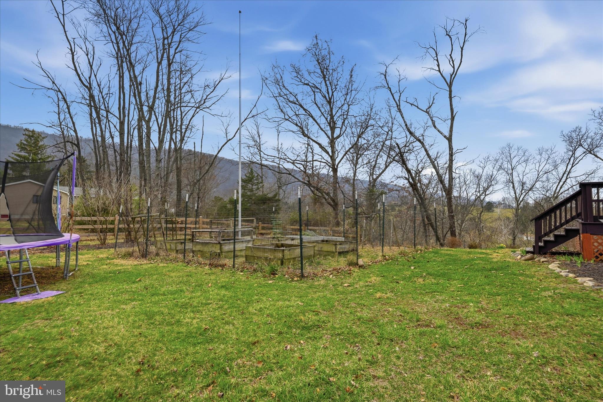 325 Fox Ridge Drive Strasburg, VA 22657 - Photo 52 of 73 Backyard
