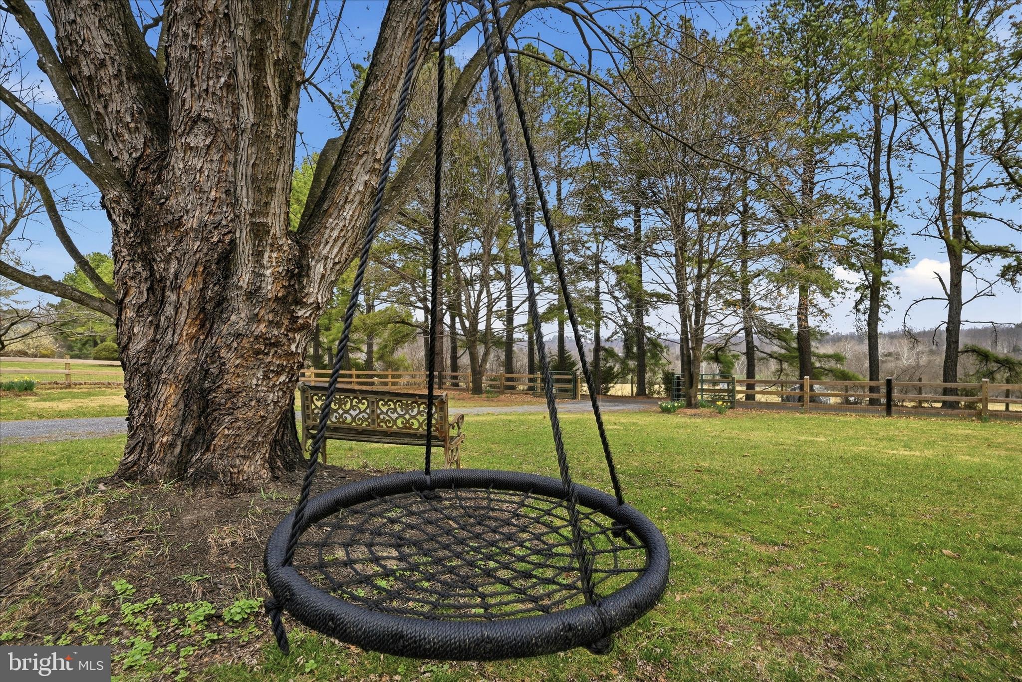 325 Fox Ridge Drive Strasburg, VA 22657 - Photo 59 of 73 Backyard
