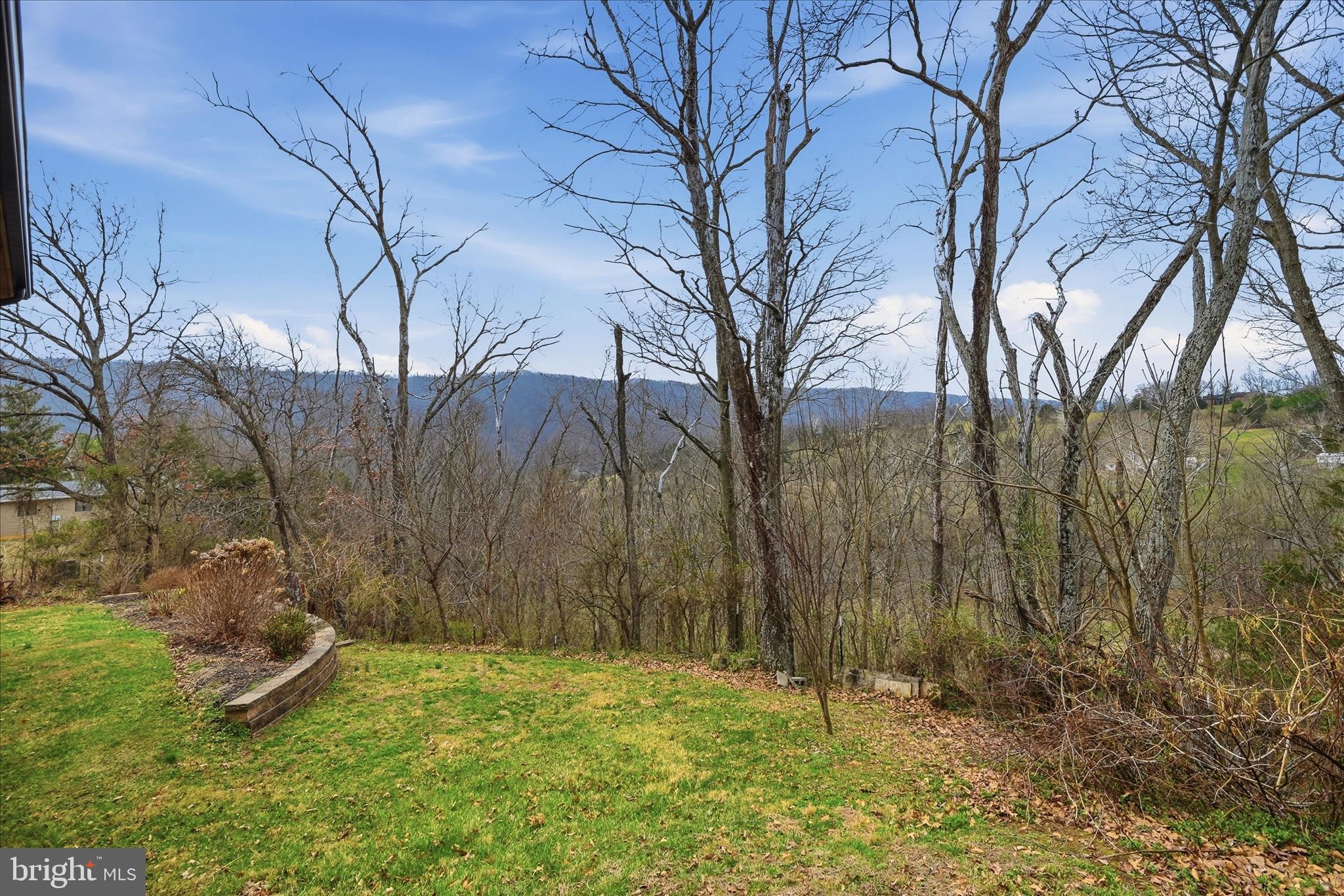 325 Fox Ridge Drive Strasburg, VA 22657 - Photo 60 of 73 Backyard