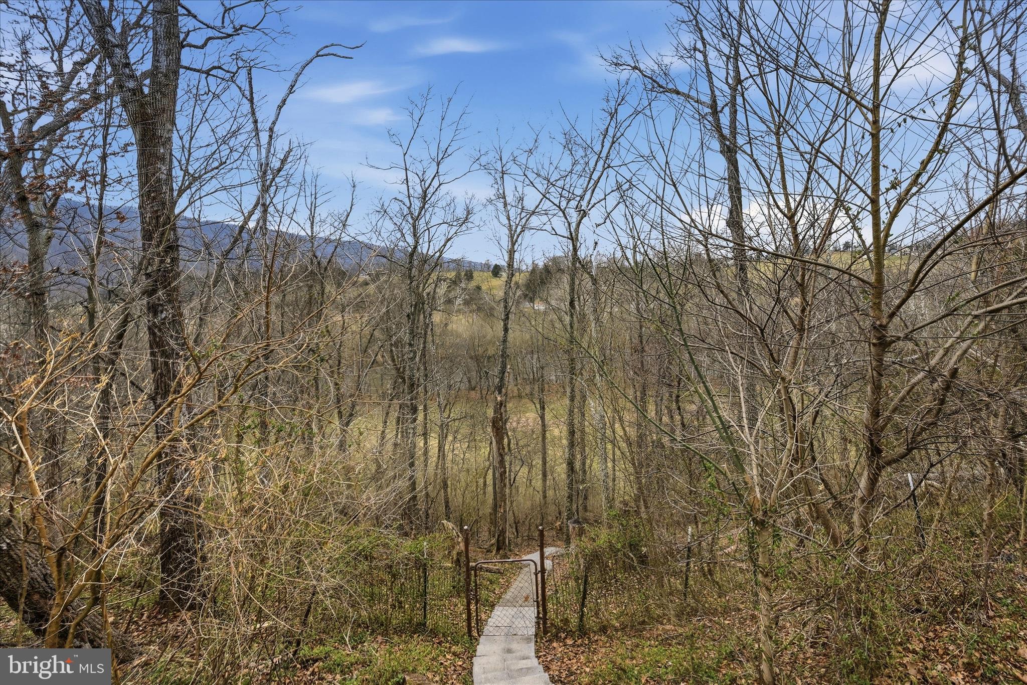 325 Fox Ridge Drive Strasburg, VA 22657 - Photo 61 of 73 Backyard