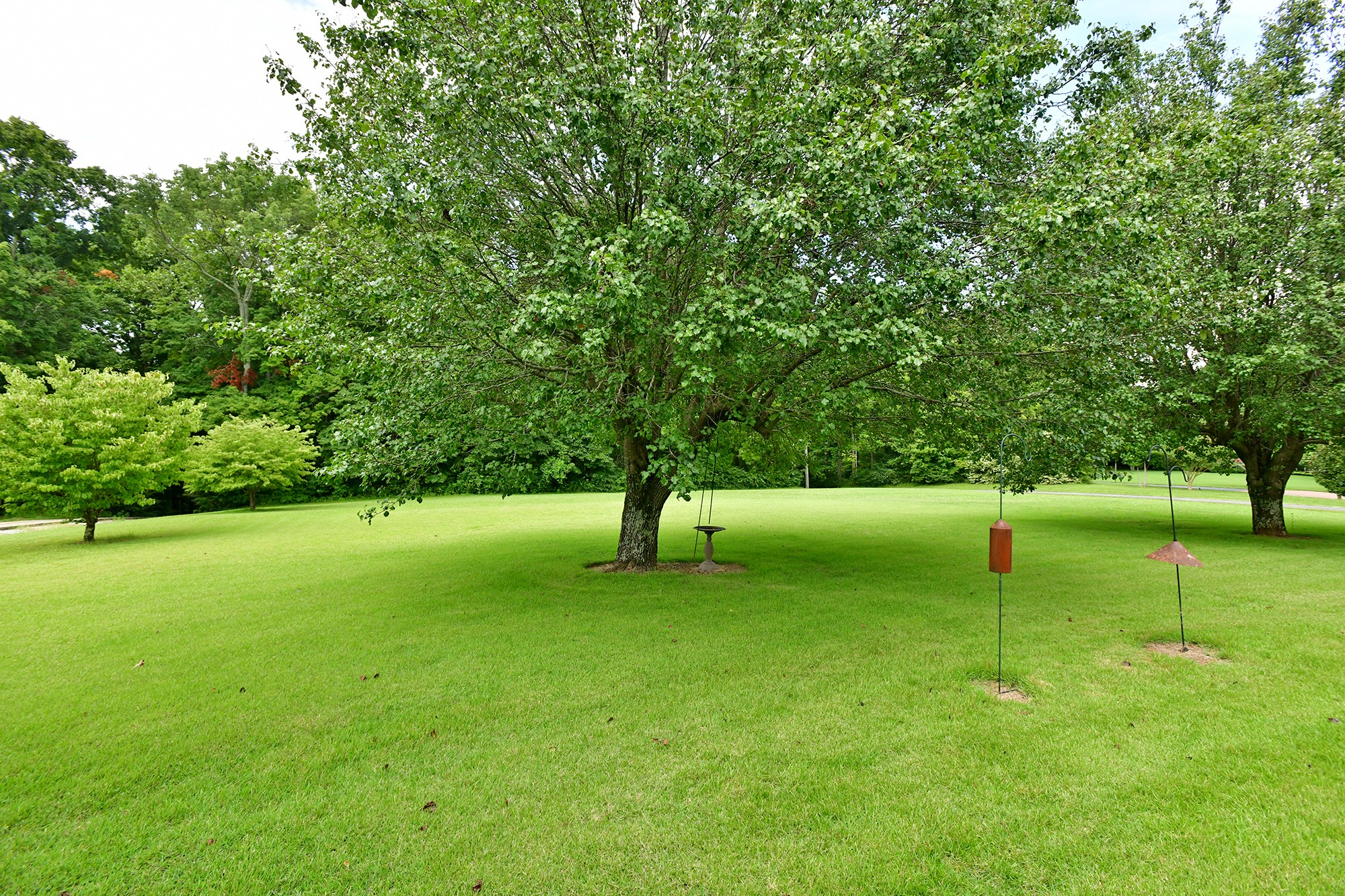 6601 Burkitt Road Antioch, TN 37013 - Photo 6 of 40 Gallery Image 6