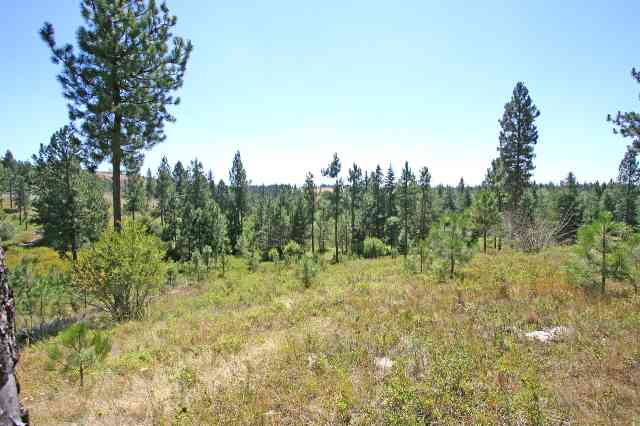 0 South Vicari Road, Unit PARCEL 7 Spokane, WA 99206 - Photo 2 of 9 Gallery Image 2