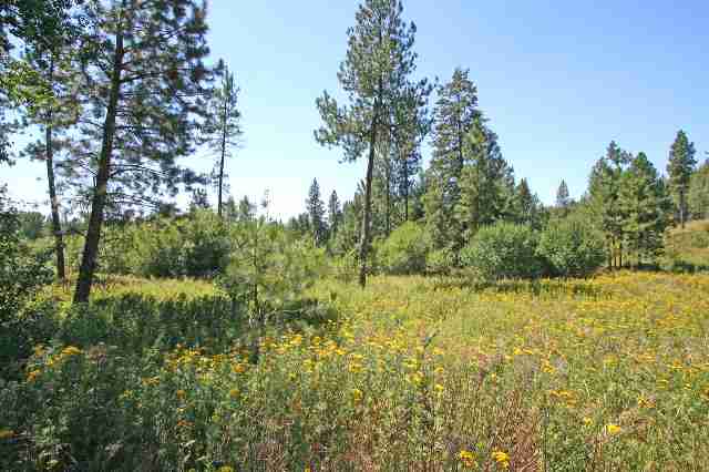 0 South Vicari Road, Unit PARCEL 7 Spokane, WA 99206 - Photo 3 of 9 Gallery Image 3