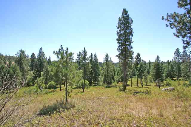 0 South Vicari Road, Unit PARCEL 7 Spokane, WA 99206 - Photo 4 of 9 Gallery Image 4