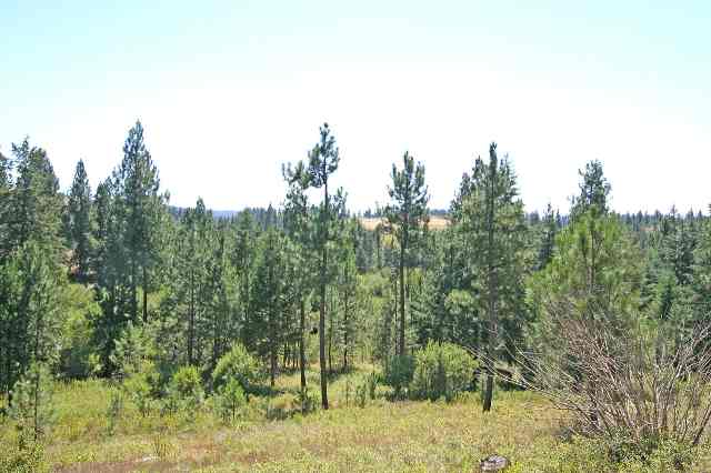 0 South Vicari Road, Unit PARCEL 7 Spokane, WA 99206 - Photo 6 of 9 Gallery Image 6