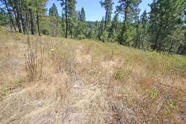 0 South Vicari Road, Unit PARCEL 7 Spokane, WA 99206 - Photo 7 of 9 Gallery Image 7