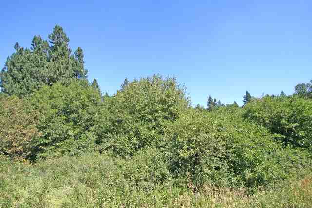 0 South Vicari Road, Unit PARCEL 7 Spokane, WA 99206 - Photo 8 of 9 Gallery Image 8