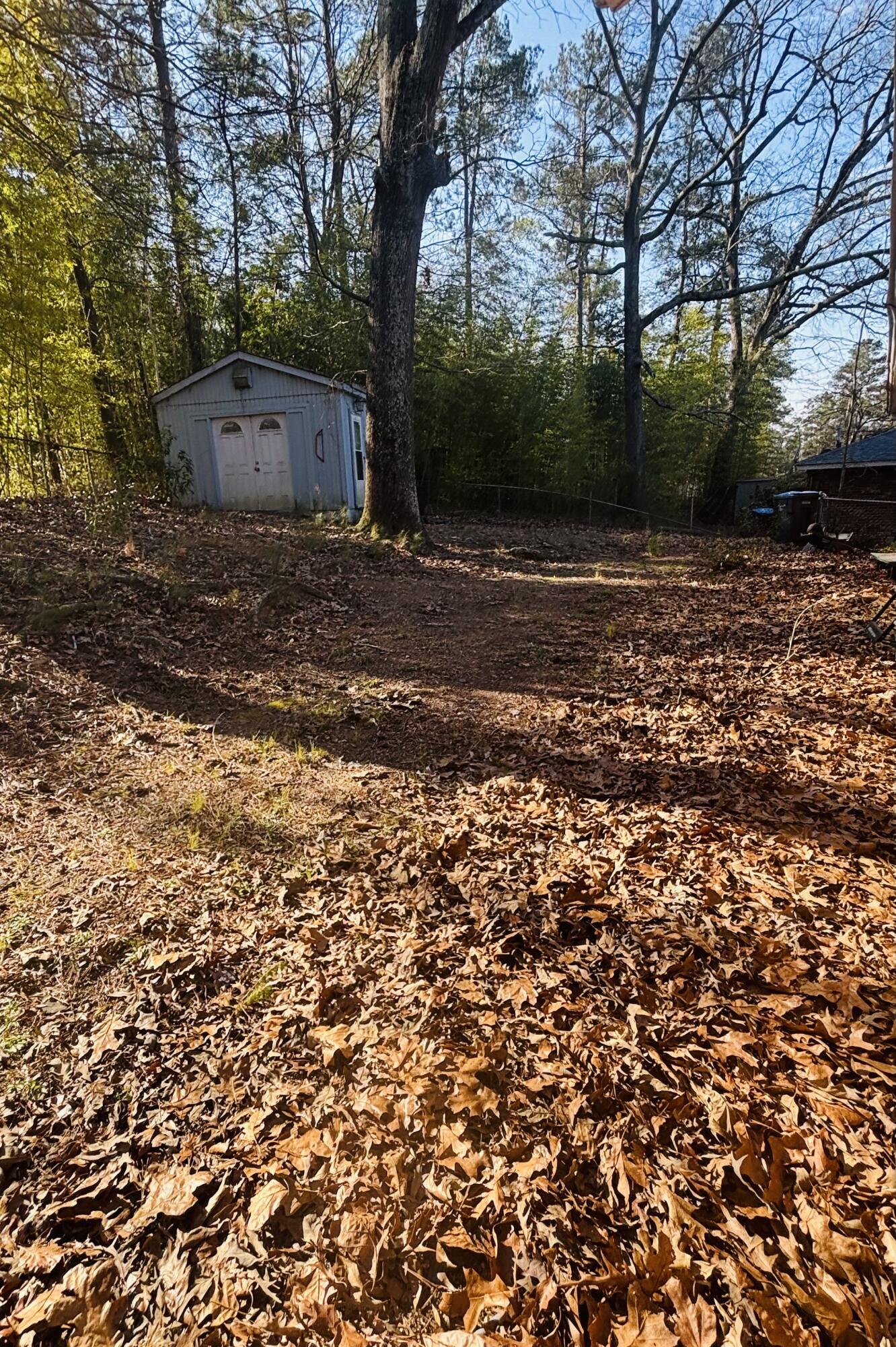 3428 Rushing Road Augusta, GA 30906 - Photo 5 of 21 Backyard