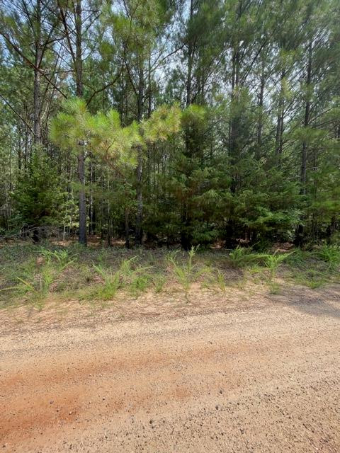 Lots 4-5 Sutton Road Lincolnton, GA 30817 - Photo 1 of 14 Main View