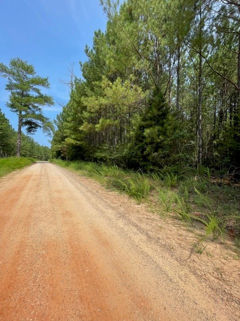 Lots 4-5 Sutton Road Lincolnton, GA 30817 - Photo 4 of 14