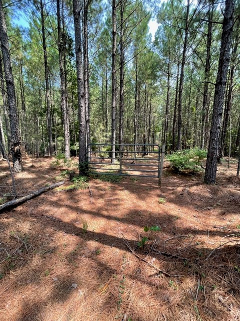 Lots 4-5 Sutton Road Lincolnton, GA 30817 - Photo 6 of 14