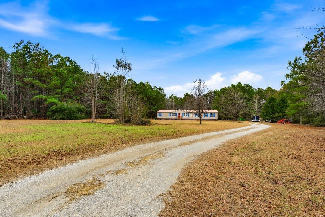 181 EV Road Loris, SC 29569 - Photo 6 of 33 View of dirt / gravel driveway featuring a forest view