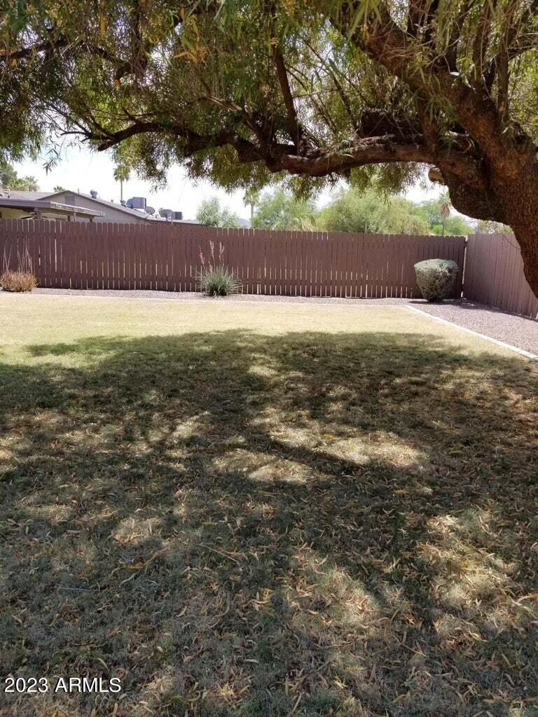 14420 North 39th Way Phoenix, AZ 85032 - Photo 24 of 24 a view of a yard with a tree